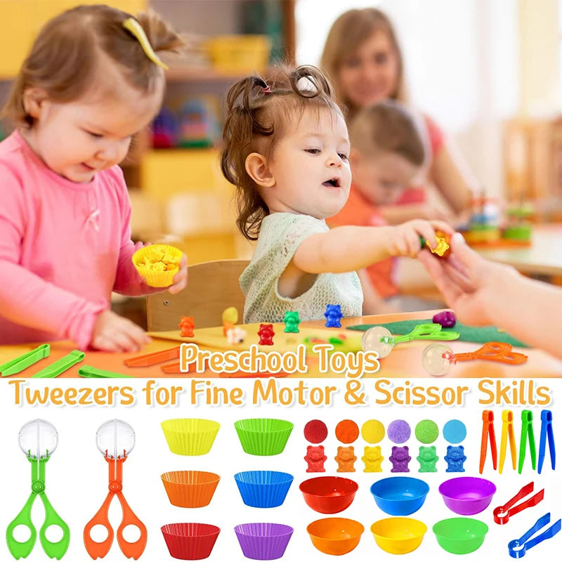 Jeu de tri des oursons – Motricité fine et apprentissage des couleurs